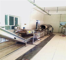 江苏薯条燃气加热油炸流水线 国邦食品机械的智能制造典范